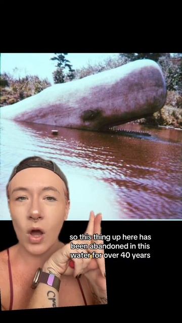 🐋 Giant Abandoned Whale Animatronic in Water #Submechanophobia #creepy #animatronics смотреть онлайн