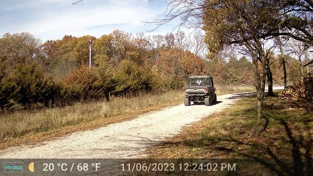 The Truth about the Meidase P60 Trail Camera смотреть онлайн