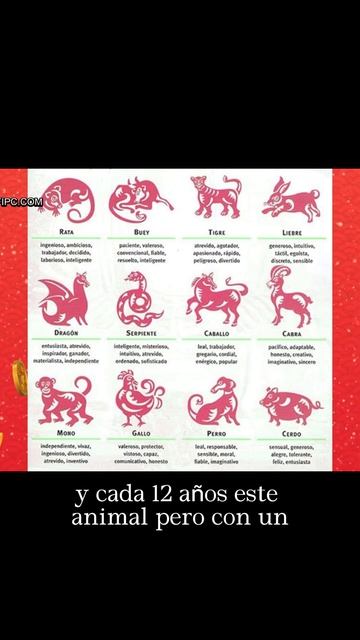 Estos son los animales del calendario luni-solar Chino #añonuevochino #curiosidades #añodeldragon смотреть онлайн