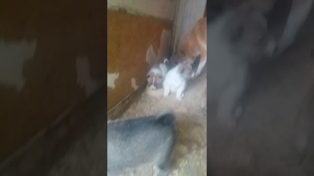 Нам через сутки -месяц. смотреть онлайн
