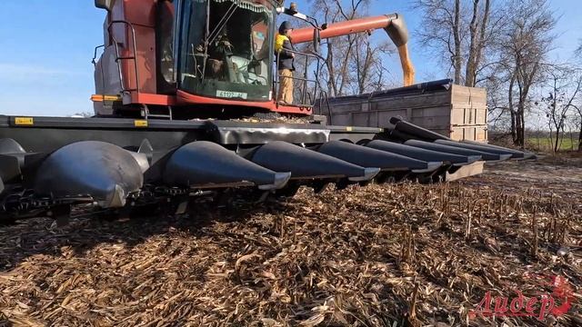 CASE IH 5140 з CAPELLO QUASAR Q8 смотреть онлайн