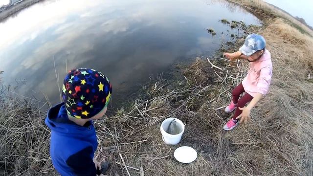 Зарыбление водоема смотреть онлайн