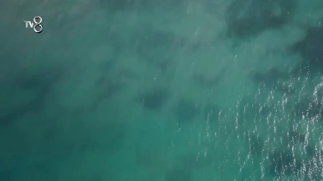 Olaylı Konsey Sonrası Nagihan ve Aleyna Ne Dedi? | Survivor All Star 2024 28. Bölüm смотреть онлайн