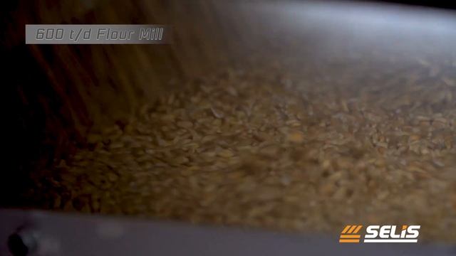 SELIS - 600 T/24H FLOUR MILL смотреть онлайн