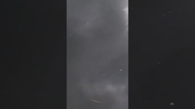 Песни про рыбалку! Копия мегабасс айслайд от беркинг ловит щуку! Ловля щуки на воблеры смотреть онлайн