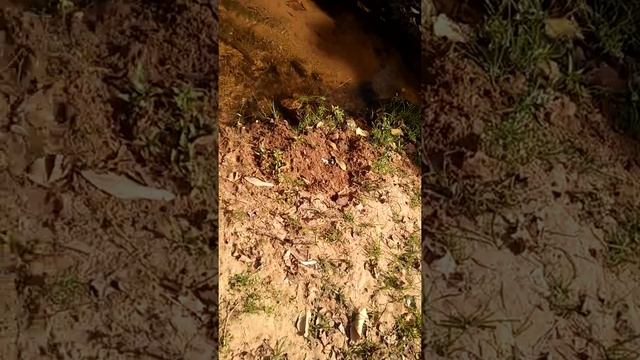 Khohra marg aise h bhai ,kya karenge ,vaha k log mahina m ek bar market jate h смотреть онлайн