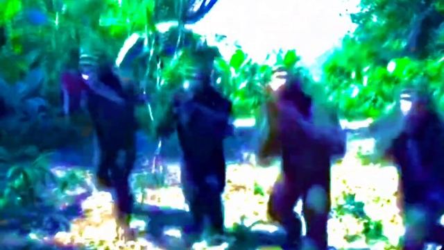 Песня  обезьян