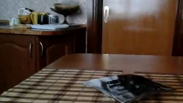 Визов Духов::Визов Даркласса.Все получилось смотреть онлайн