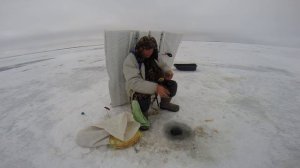 Ловим леща зимой. Часть 3  Одна удочка в руке. Результат. Зимний Маныч от Юрия Философа.