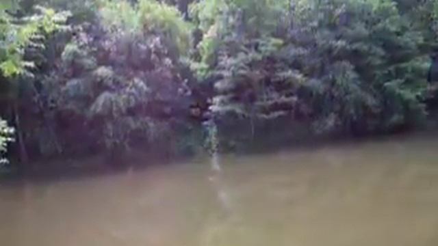 žábky kuňkají смотреть онлайн