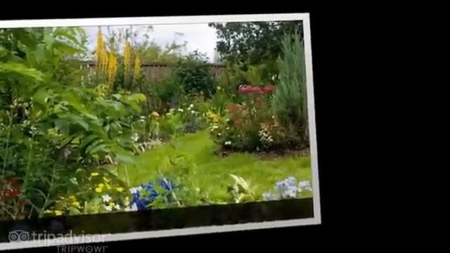 Наш сад "Сад Дракона" в 2009г. смотреть онлайн