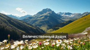 Музыка гор - величественный Дудук