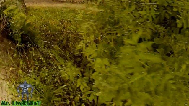 Mr. LiveRoBoT - ИДУ НАПИСАТЬ ЗАЯВЛЕНИЕ В ЦЗ И СУМКА УЖАСНО ПОРВАЛАСЬ, НО ДЕНЕГ НЕТ НА НОВУЮ смотреть онлайн