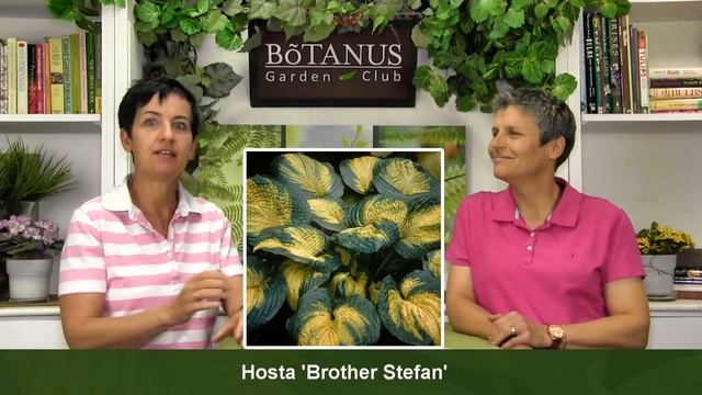 Episode 186-A Hankering for Hostas смотреть онлайн