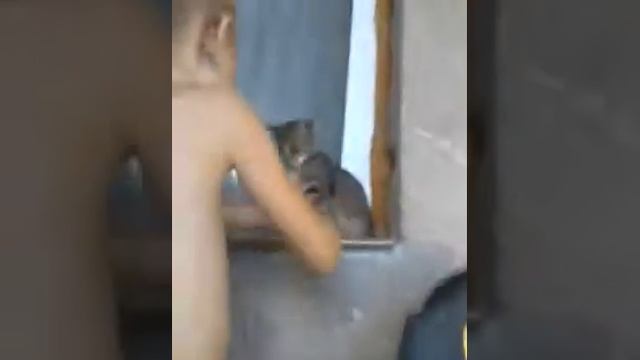 Убаюкивание кошки смотреть онлайн
