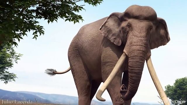 "พาลีโอลอกโซดอน" ช้างที่ใหญ่ที่สุดในโลก [ Paleomite EP.6 Palaeoloxodon, The largest land mammal] смотреть онлайн
