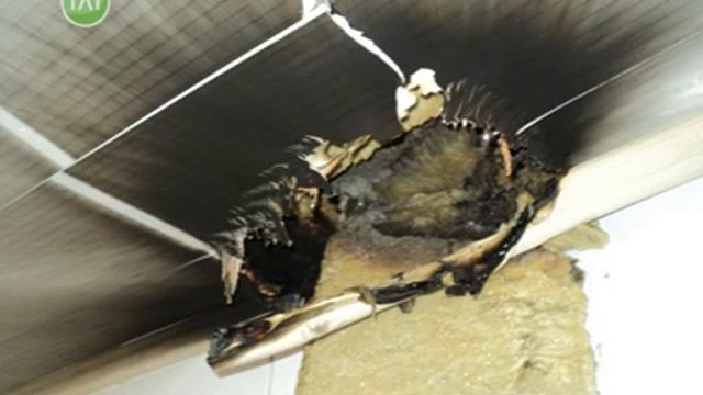 Сводки оперативных служб города смотреть онлайн