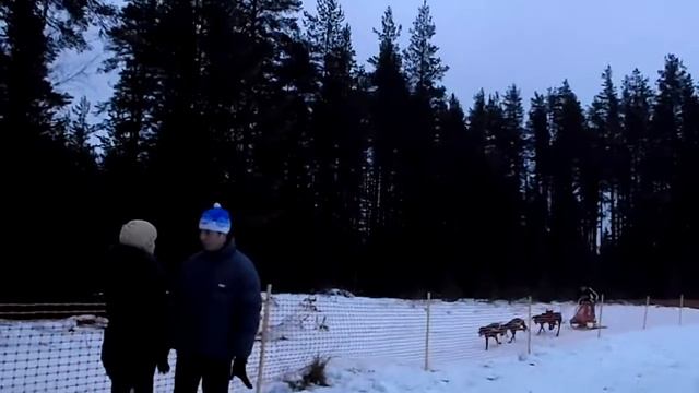 проход на 2 (или 3) круг Столяров Александр и Игорь Трач смотреть онлайн