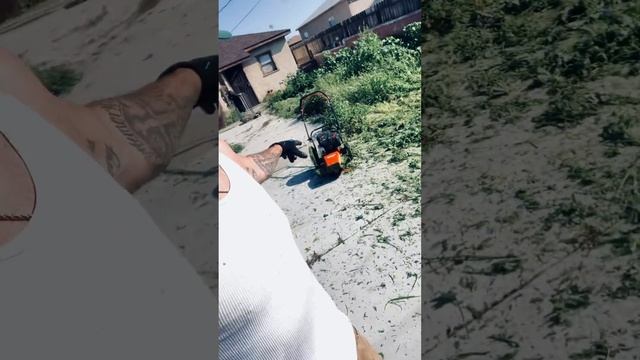 Echo WT-1610 Product Review Beast mode!! смотреть онлайн