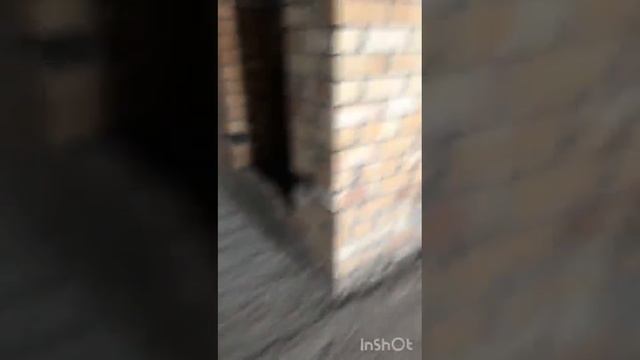 7 мая 2024 г. смотреть онлайн
