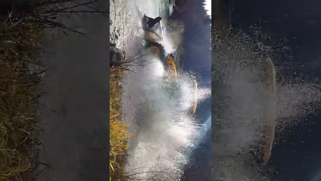 Мойка смотреть онлайн