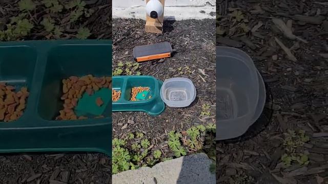 VAVA Wire-Free Security Camera Outdoor & Indoor|Rechargeable HD 1080P Camera смотреть онлайн