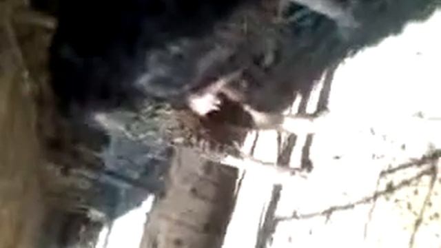 Бык из камуна 1 смотреть онлайн