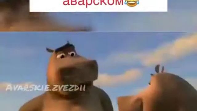 Мота Мота на аварском🤣🤣🤣🤣🤣