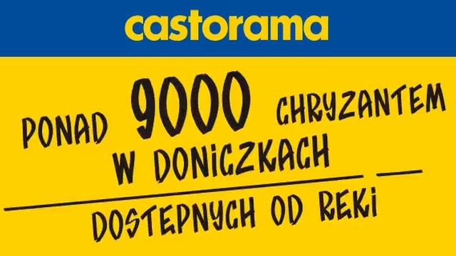 Castorama смотреть онлайн