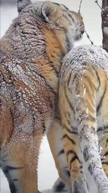 25 мая 2023 г. смотреть онлайн