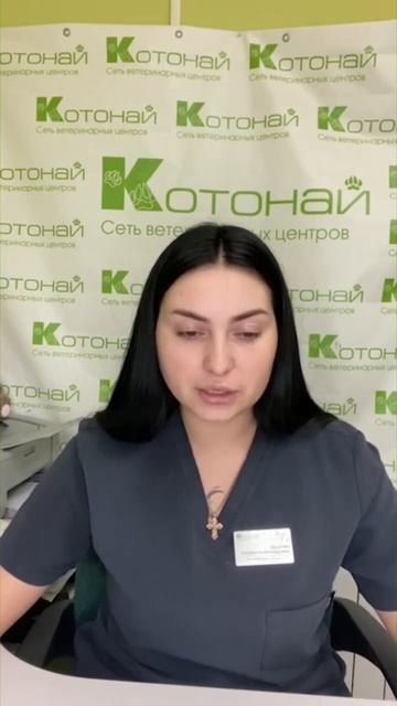 Язвы желудка у собак и кошек🐶😸 смотреть онлайн