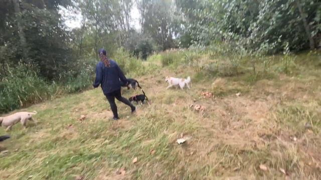 Woofer Walk/Mon. Morn. смотреть онлайн