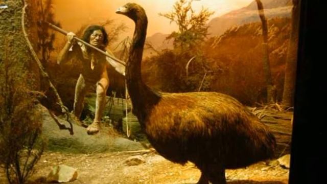 Elephant Bird / ആന പക്ഷി