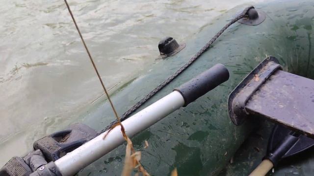 Сом. Отпускаю пусть растёт🙂 🐠🐋🐟 смотреть онлайн