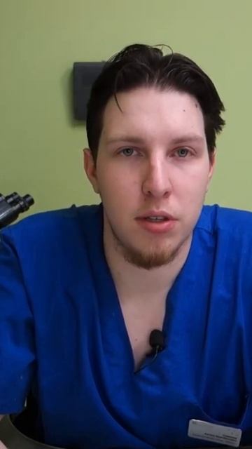 Диагностика дисплазий у животных смотреть онлайн