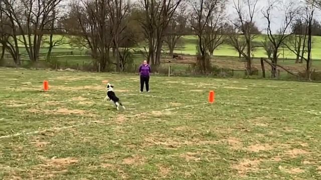 kit and levin Reisterstown смотреть онлайн