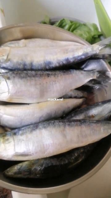 #fish #frozen #mackerel #dish #lunch #yummy #cooking #recipe #asmr#viral #short смотреть онлайн