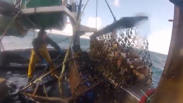 Pêche à la coquille Saint Jacques à bord du Bel Horizon. Mal de mer assuré ! armementbelhorizon fr смотреть онлайн