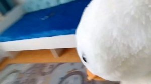 Песня про Гуся Обнимуся ( про меня песня )