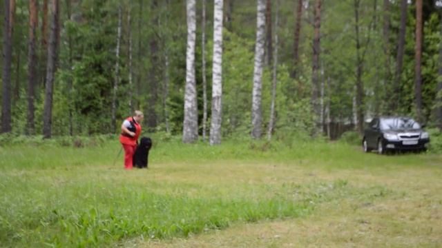 Цвелодубово_день3_5 смотреть онлайн