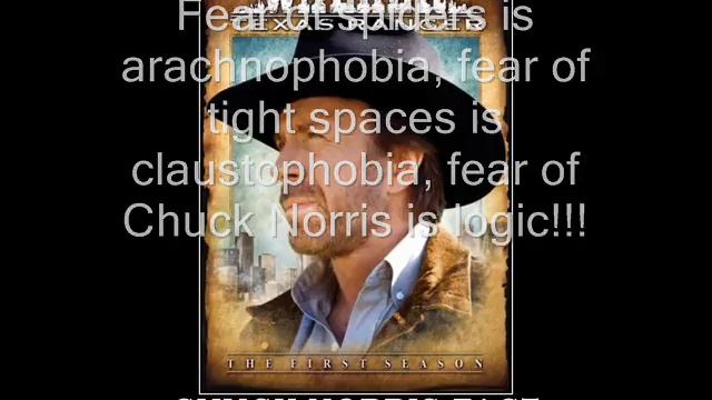 Chuck Norris Song смотреть онлайн
