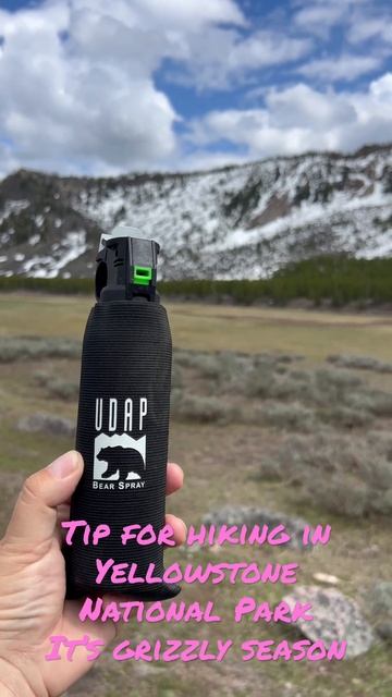 Tip for hiking in grizzly country #travel #mustwatch #hiking #yellowstonenationalpark #tourist #fun смотреть онлайн
