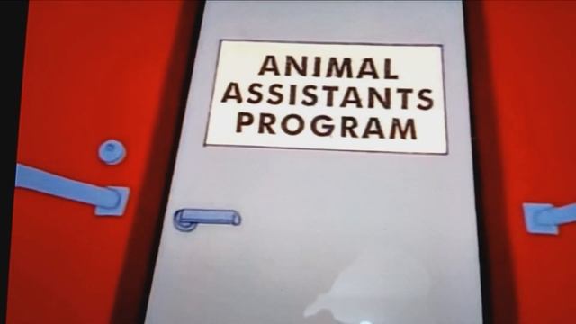 homer left monkey at animal assistants program смотреть онлайн