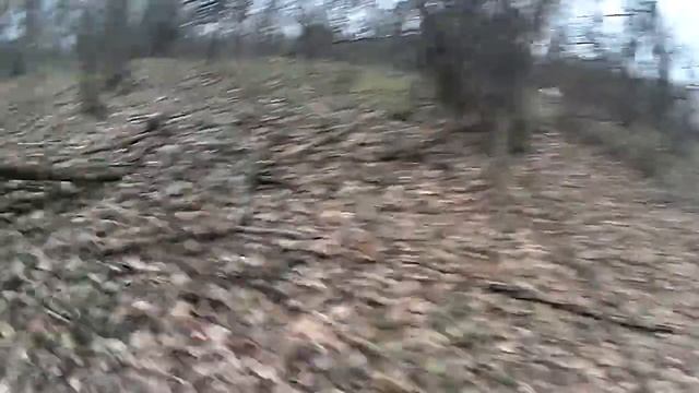 Снайп по вальдшнепу. 18 11 2012 смотреть онлайн