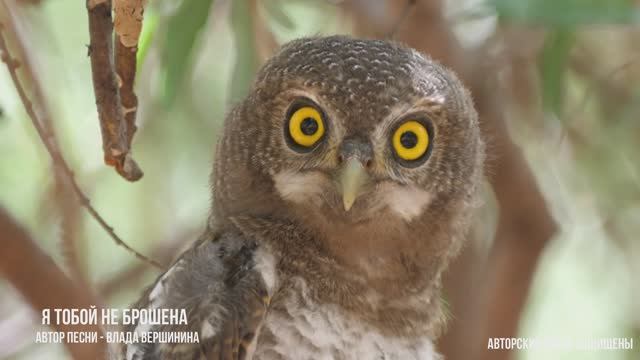 🔥СОГЛАСИТЕСЬ, ЧТО ПЕСНЯ СУПЕР? 🔥 смотреть онлайн