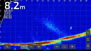 Поиск трофейного судака с паноптикс!!!