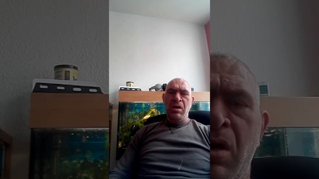 Nebido смотреть онлайн
