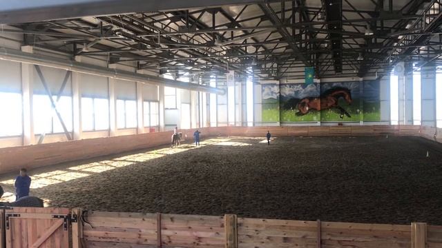 Учусь кататься рысью на лошади смотреть онлайн