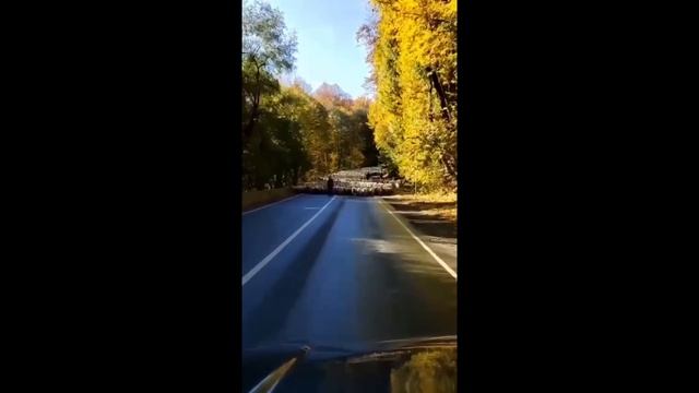 Dick Dale Unknown Territory видеозалипалка 5