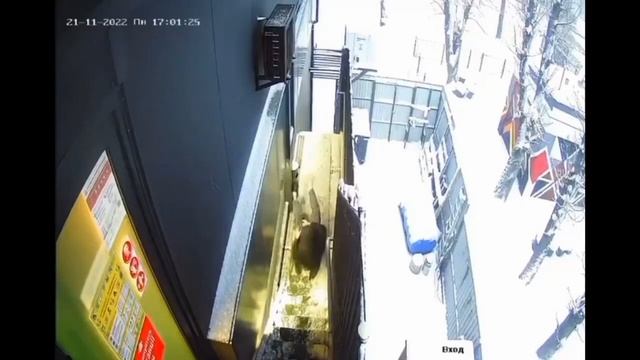 Тест на шизу уровень 999 смотреть онлайн